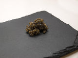 Ocietra Gueldenstaedtii Caviar