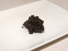 Transmontanus Caviar