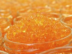 Trout Roe|Oeufs de Truite